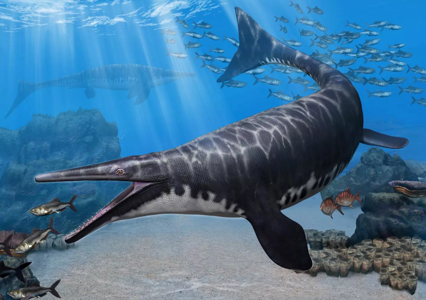 Mosasaurus hoffmannii reconstruction in its Late Cretaceous marine environment.