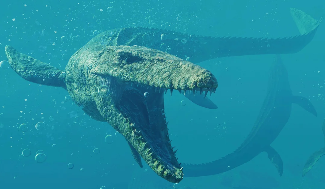 Size comparison of Mosasaurus with other Mesozoic marine reptiles.