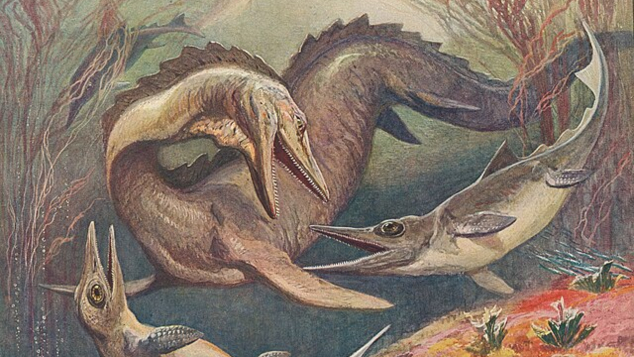 Artistic reconstruction of Mosasaurus hoffmannii emerging from water to capture prey.