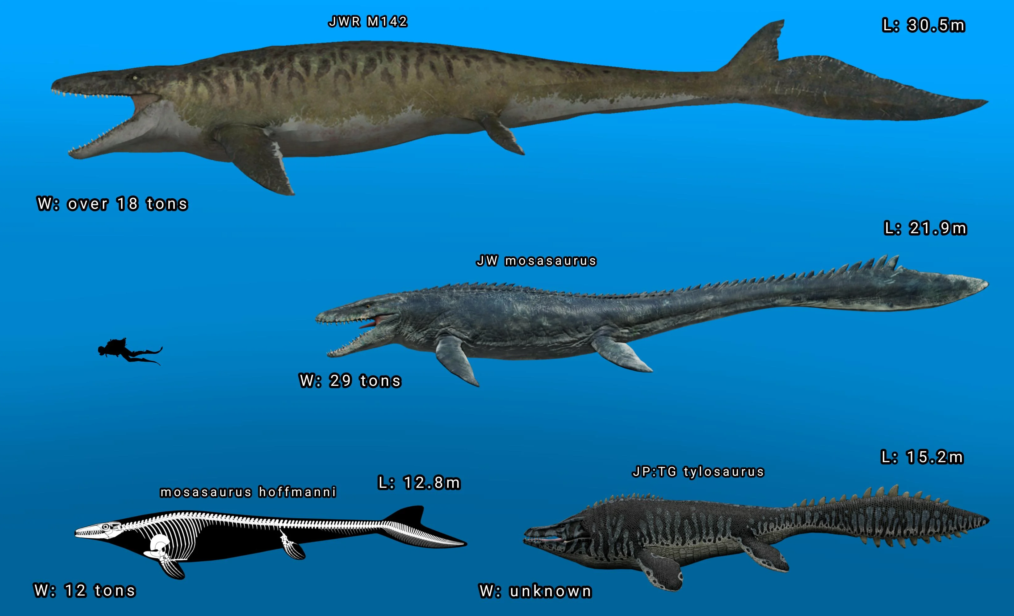 Comparative diagram between the movie Mosasaurus and scientific size estimates.
