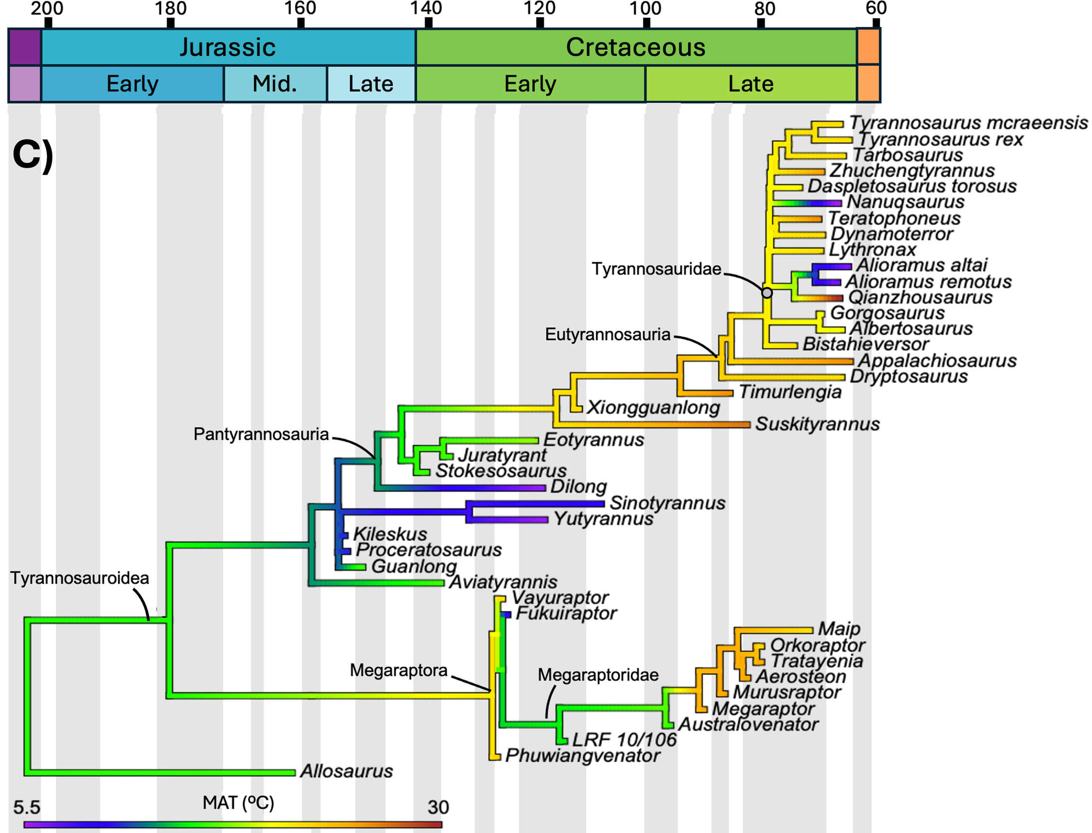 Cladogram of tyrannosauroids with mean annual temperature mapped onto the branches
