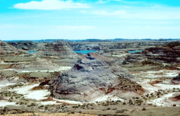 Hell Creek Formation, Montana