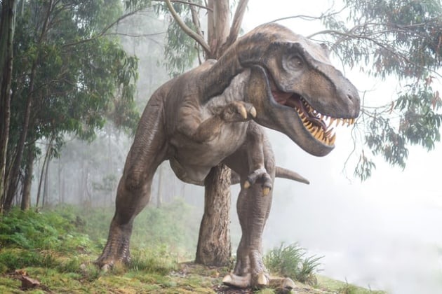 Life-size model of Albertosaurus sarcophagus on outdoor display.