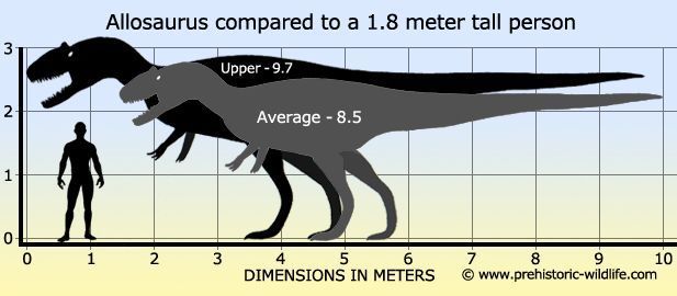 Artistic reconstruction of Allosaurus in action — the jaw opening was exceptionally wide, allowing it to gulp large pieces of flesh like a hatchet.