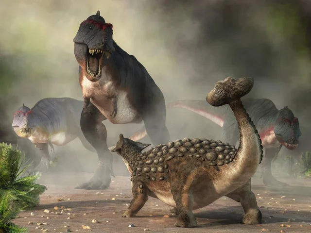 Artistic reconstruction of Ankylosaurus in defensive posture, tail club raised.