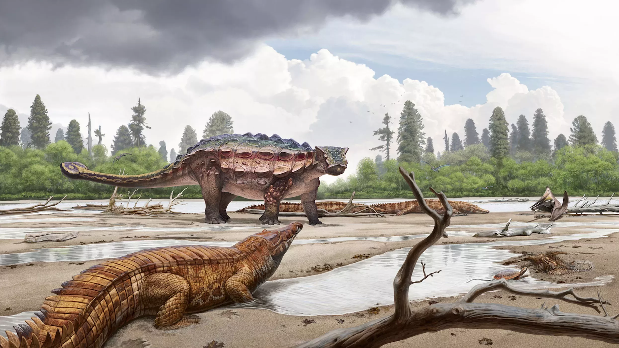 Paleoart of Ankylosaurus magniventris highlighting skin texture and osteoderms.