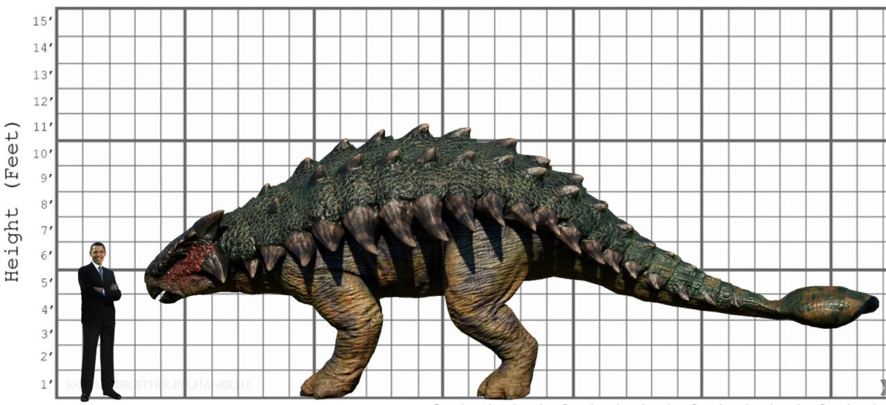 Size comparison between Ankylosaurus magniventris and an adult human.