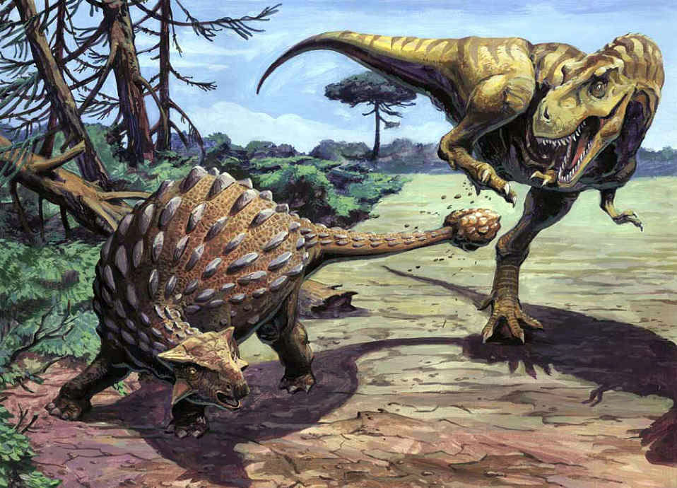 Encounter between Ankylosaurus and Tyrannosaurus rex, the two large co-inhabitants of the Hell Creek Formation.