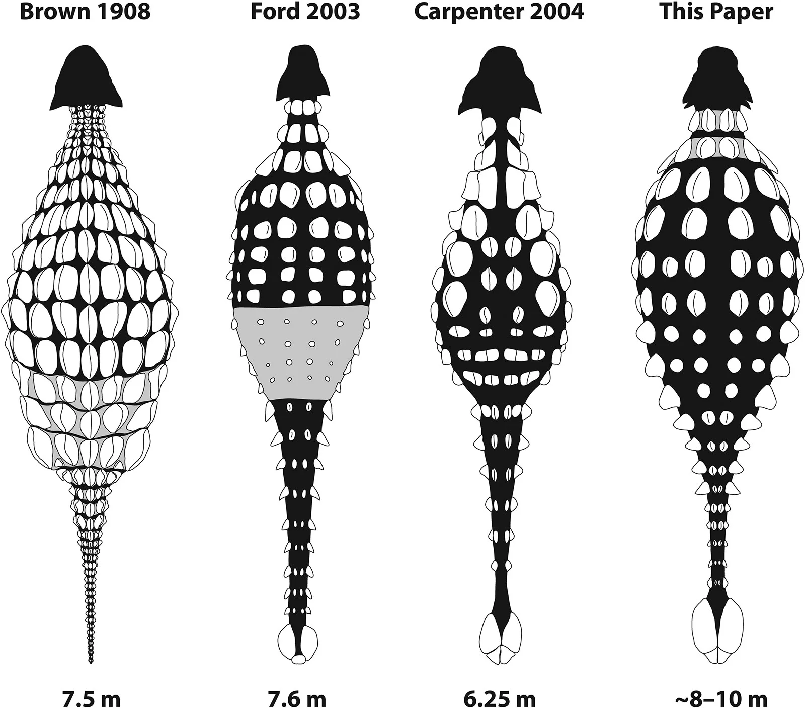 Figure 9 from Arbour & Mallon (2017): historical comparison of Ankylosaurus body armor and size hypotheses — Brown 1908 (7.5 m), Ford 2003 (7.6 m), Carpenter 2004 (6.25 m), and the authors' reconstruction (~8–10 m). The new hypothesis proposes robust, widely spaced osteoderms rather than densely packed ones, based on comparison with more completely known relatives such as Zuul and Scolosaurus.