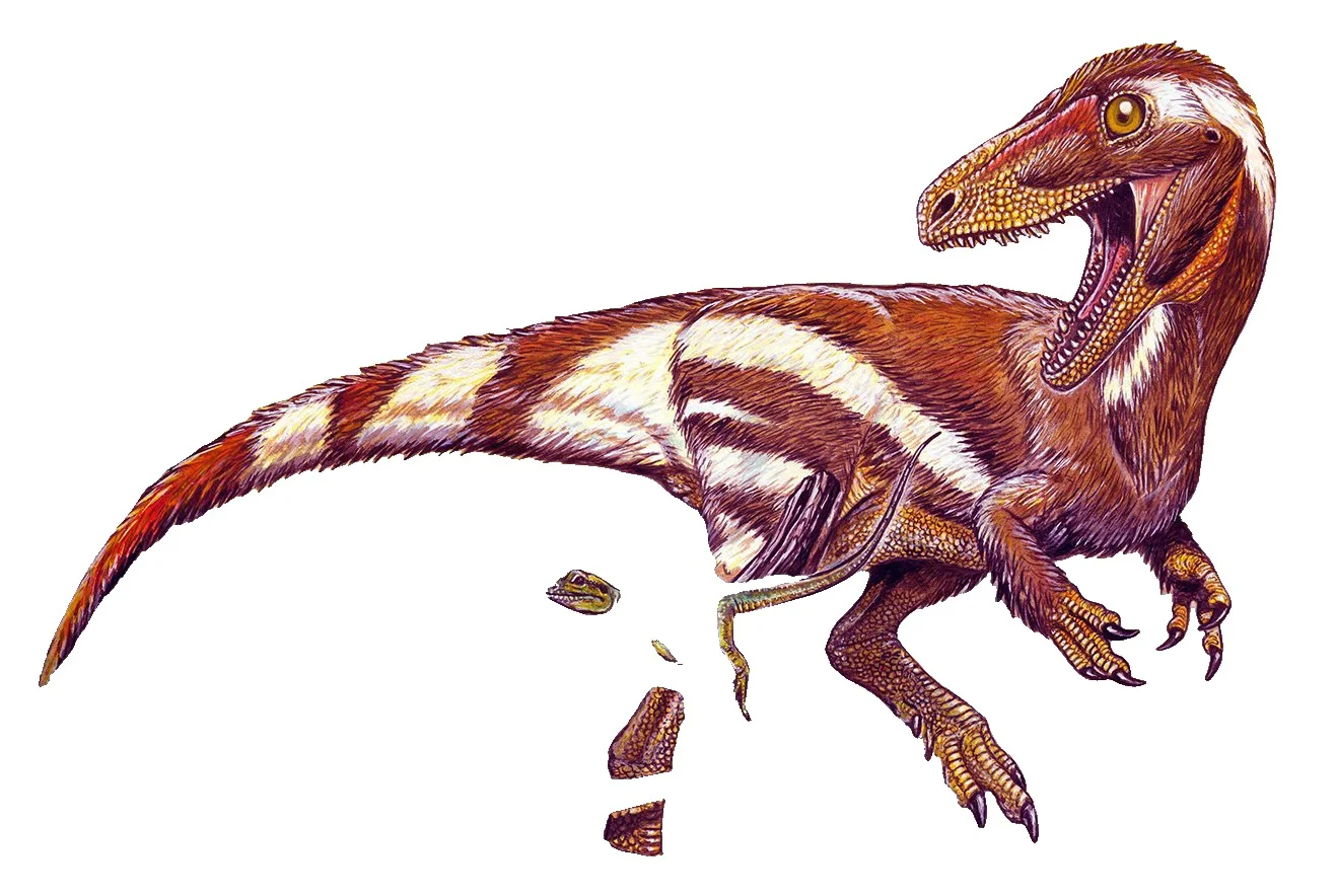 Aratasaurus