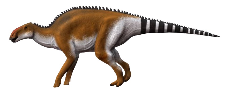 Brachylophosaurus