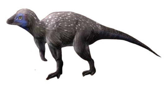 Kulindadromeus