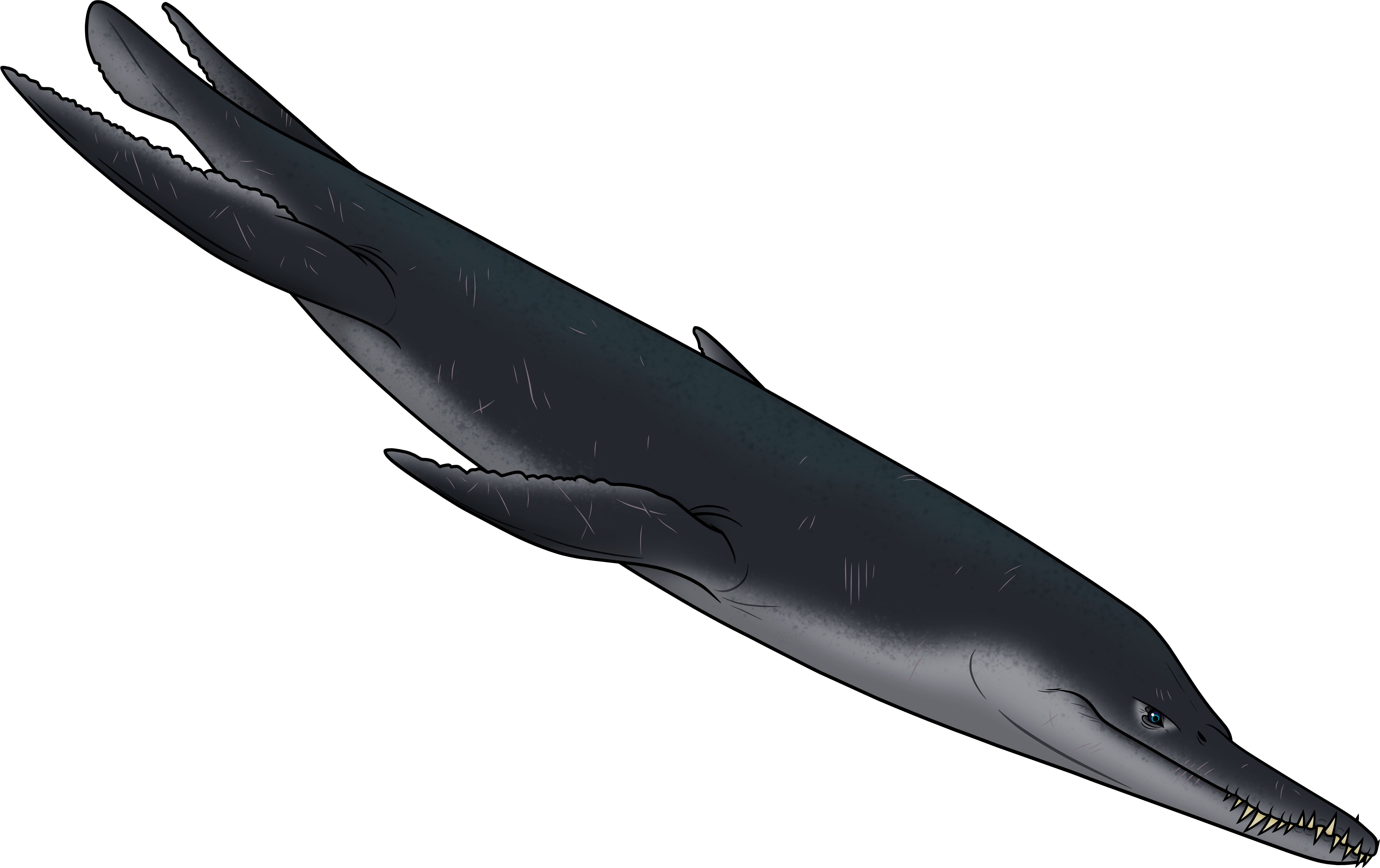 Liopleurodon