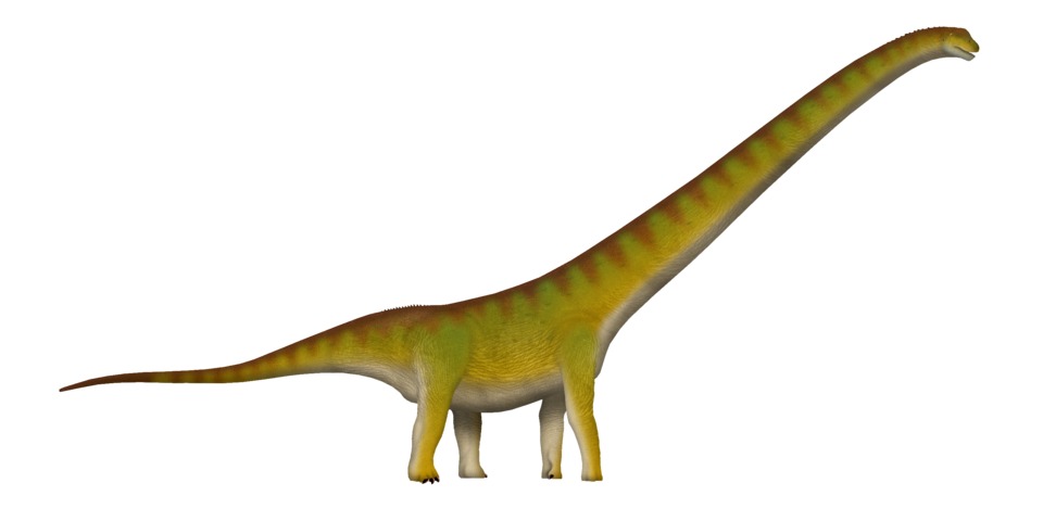 Mamenchisaurus