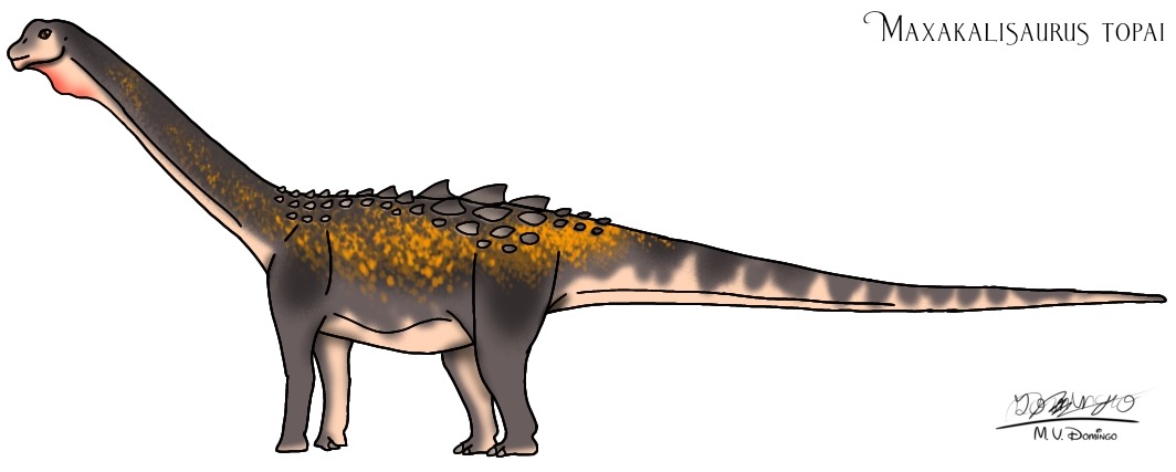 Lateral reconstruction of Maxakalisaurus topai by M.V. Domingo, showing coloration and body structure.