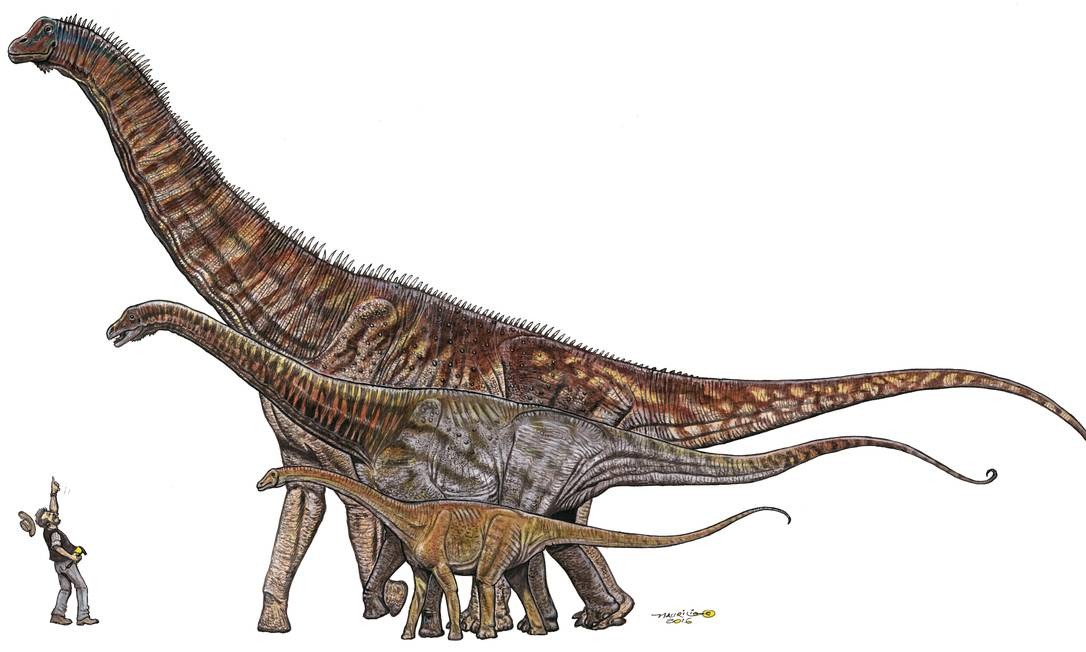 Size comparison of Maxakalisaurus topai with human silhouette, showing the scale of this Cretaceous giant.