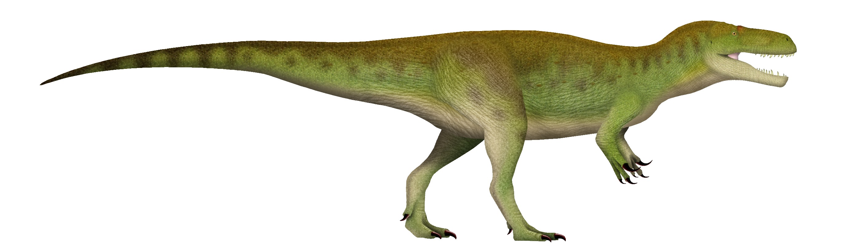 Megalosaurus