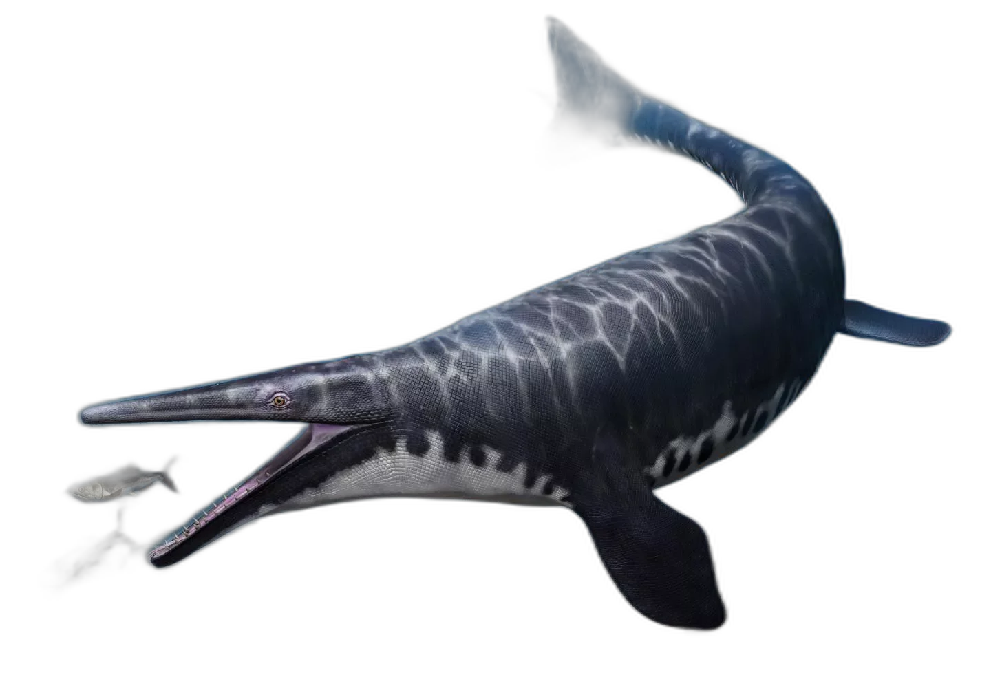 Mosasaurus