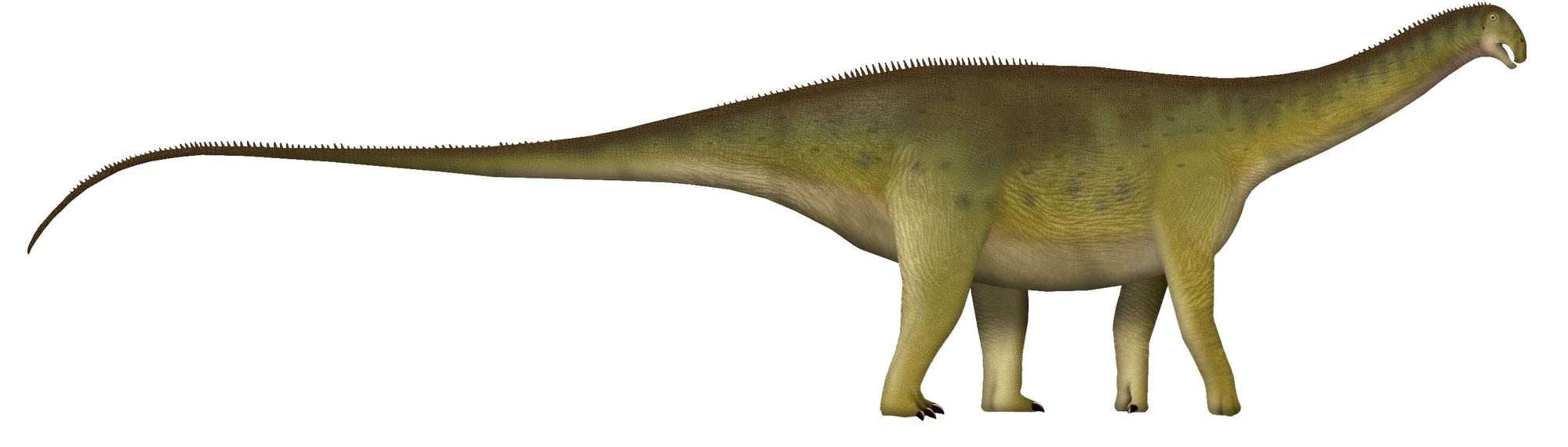 Nigersaurus