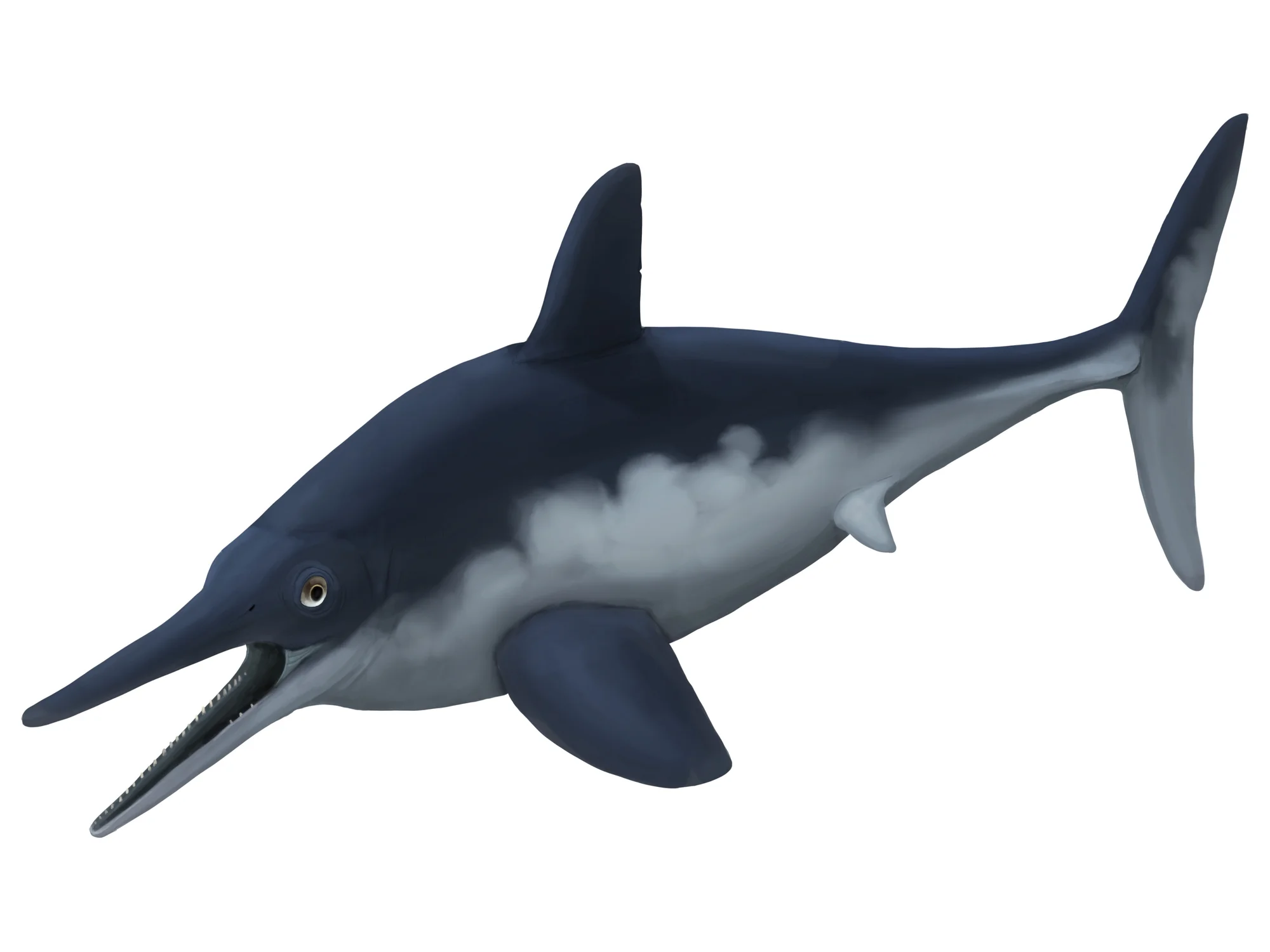 Ophthalmosaurus