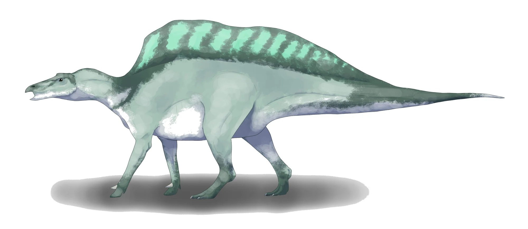 Ouranosaurus