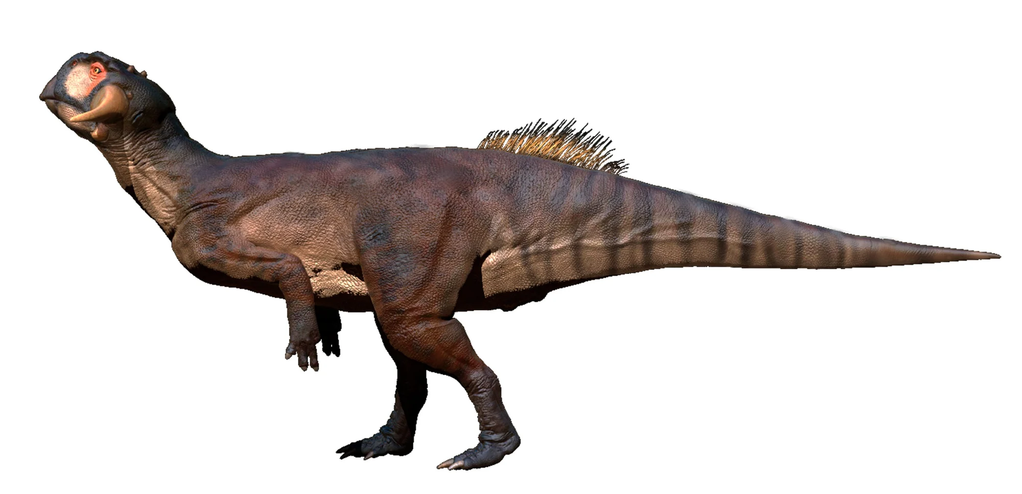 Psittacosaurus