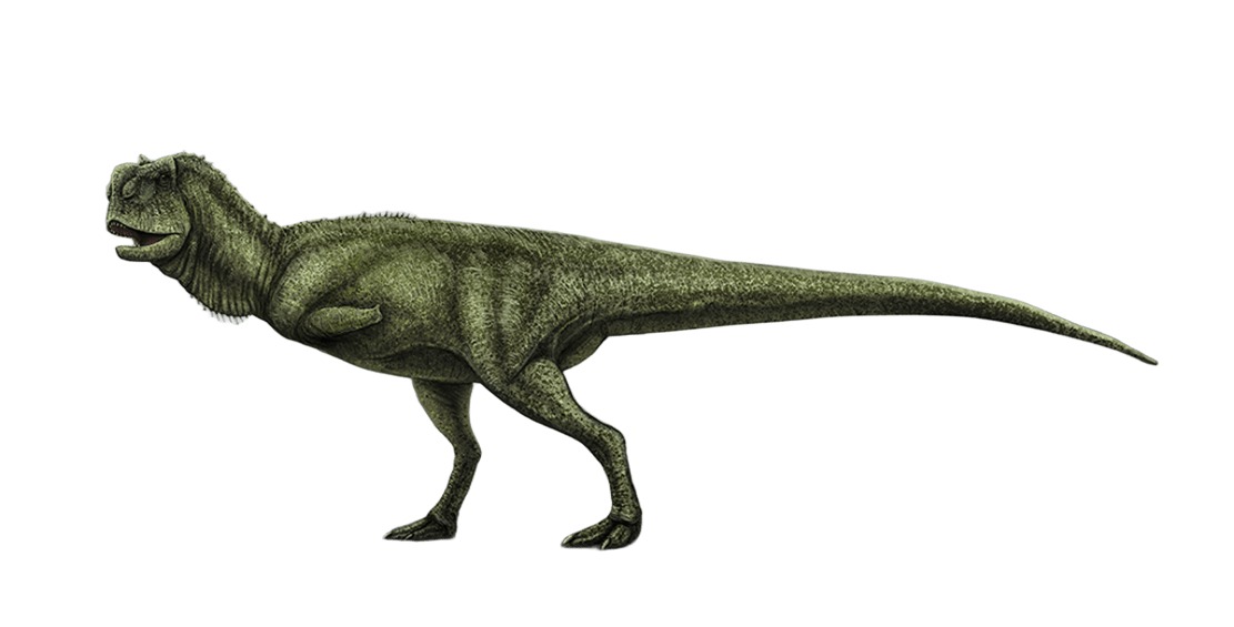 Pycnonemosaurus