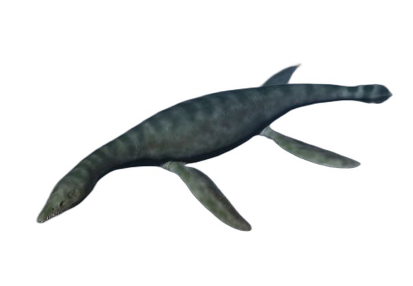 Rhomaleosaurus