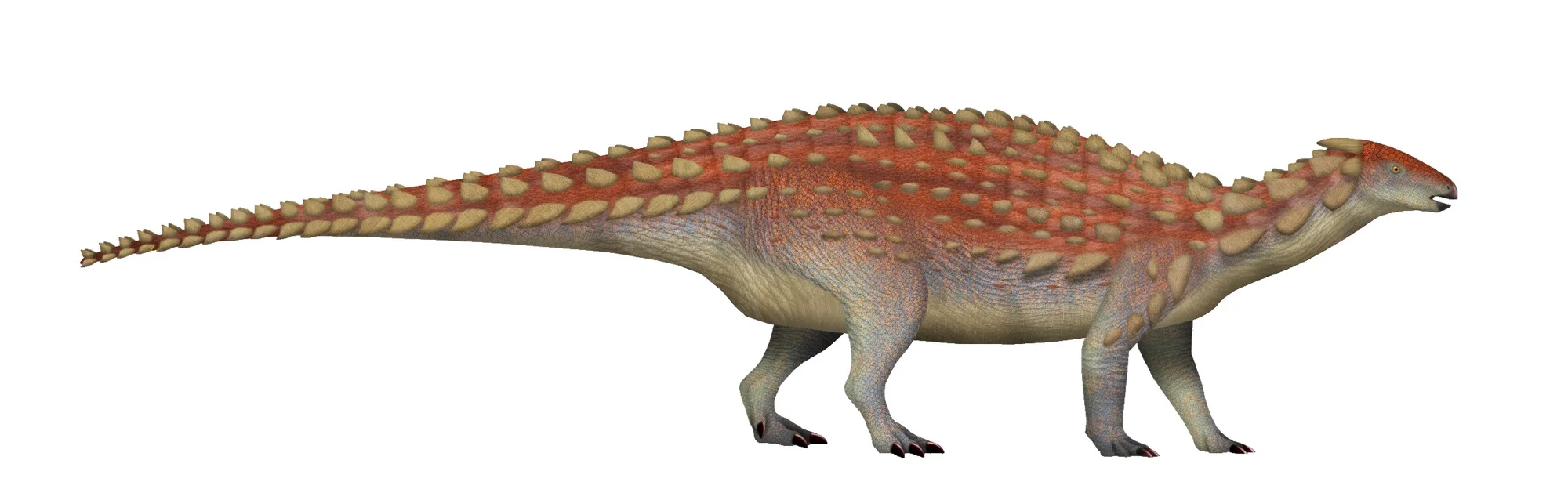Scelidosaurus