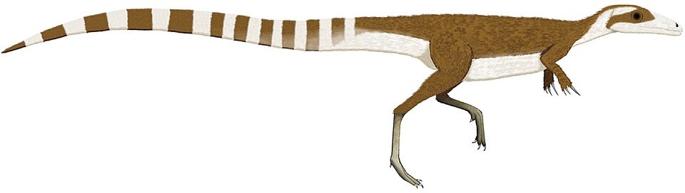 Sinosauropteryx