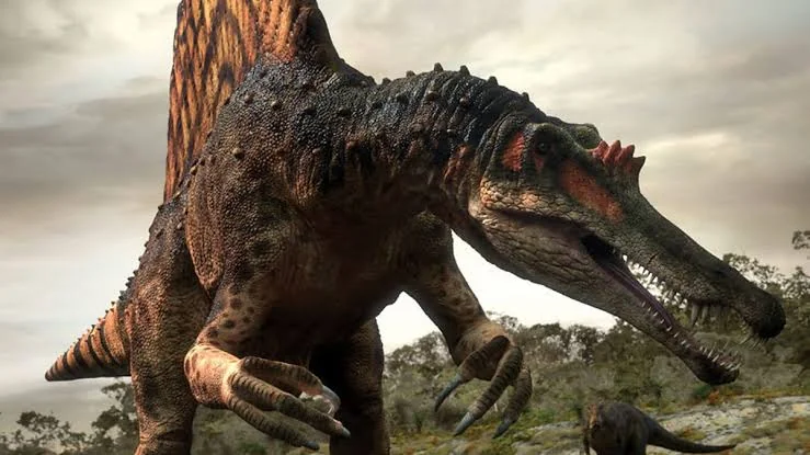 Artistic reconstruction of Spinosaurus with the dorsal sail and elongated snout characteristic of the species.