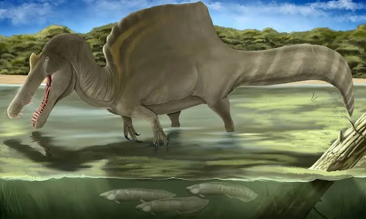 Spinosaurus in aquatic environment, reflecting the semiaquatic predator hypothesis confirmed by bone density studies.