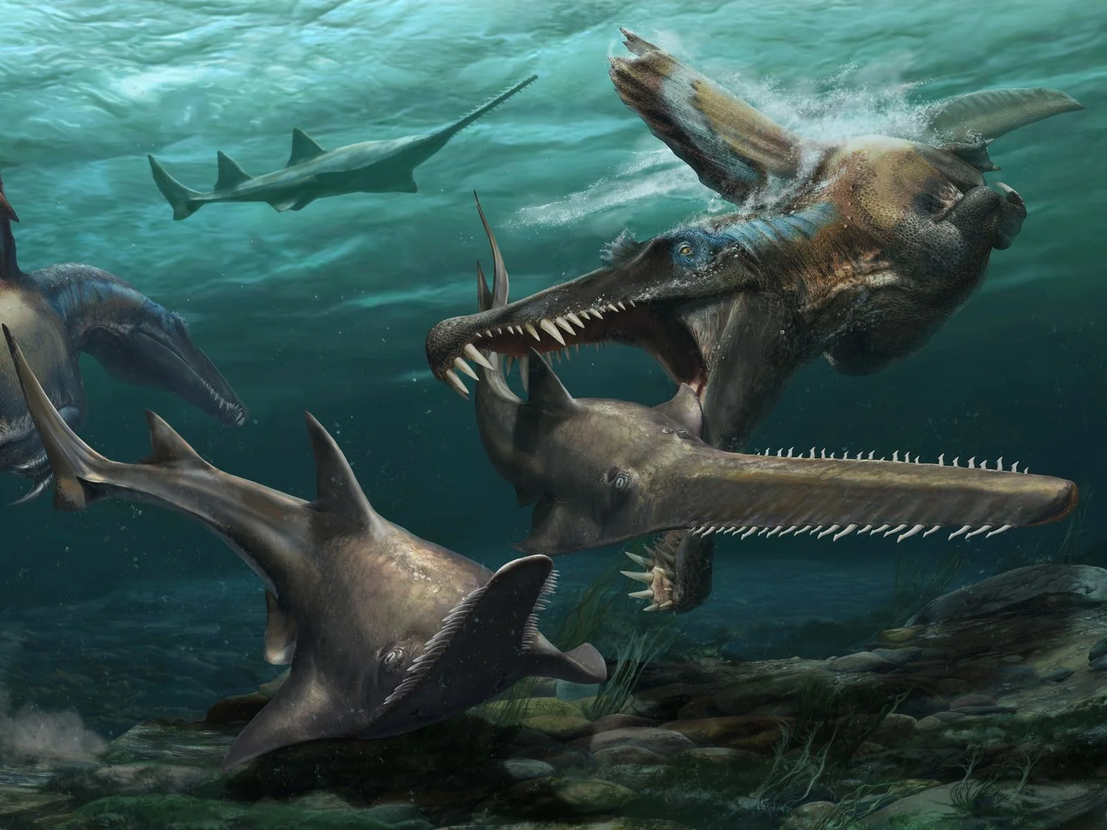 Conical teeth of Spinosaurus, adapted for catching slippery fish. The circular cross-section and longitudinal striations are characteristic of spinosaurids.