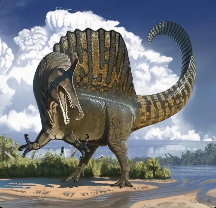 Alternative Spinosaurus reconstruction showing the evolution of scientific interpretations of the animal over the years.
