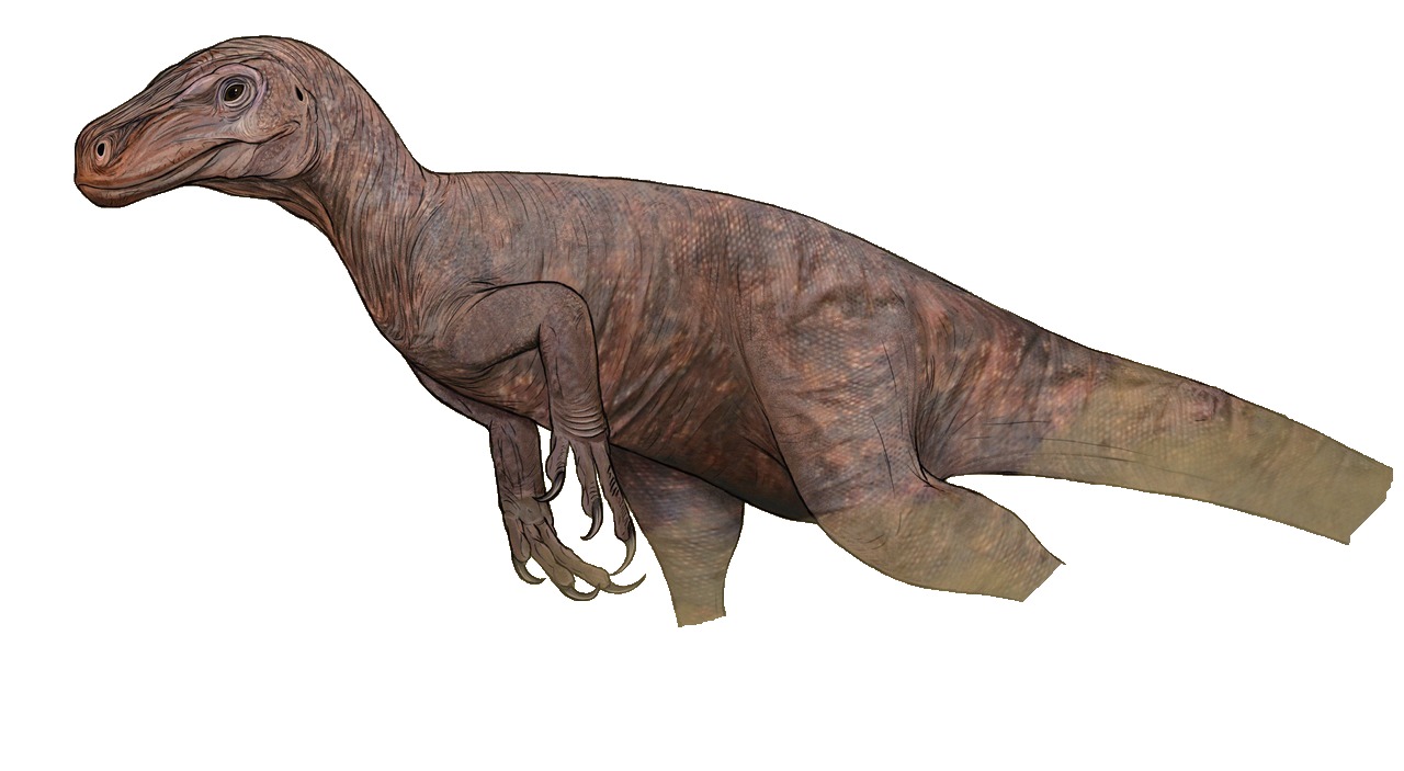 Staurikosaurus