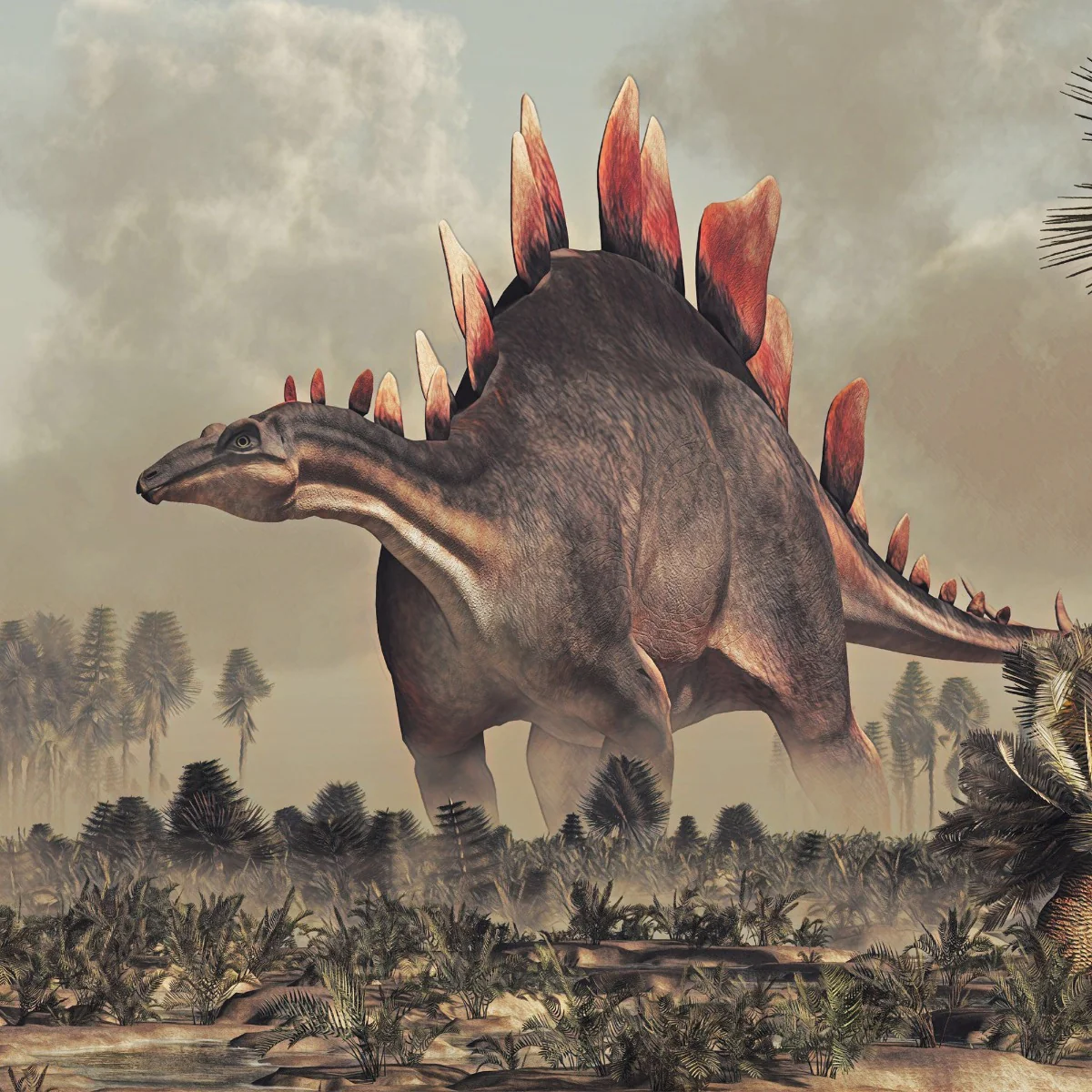 Modern Stegosaurus reconstruction incorporating current scientific knowledge — low posture with head close to ground, compatible with feeding on low-lying vegetation.