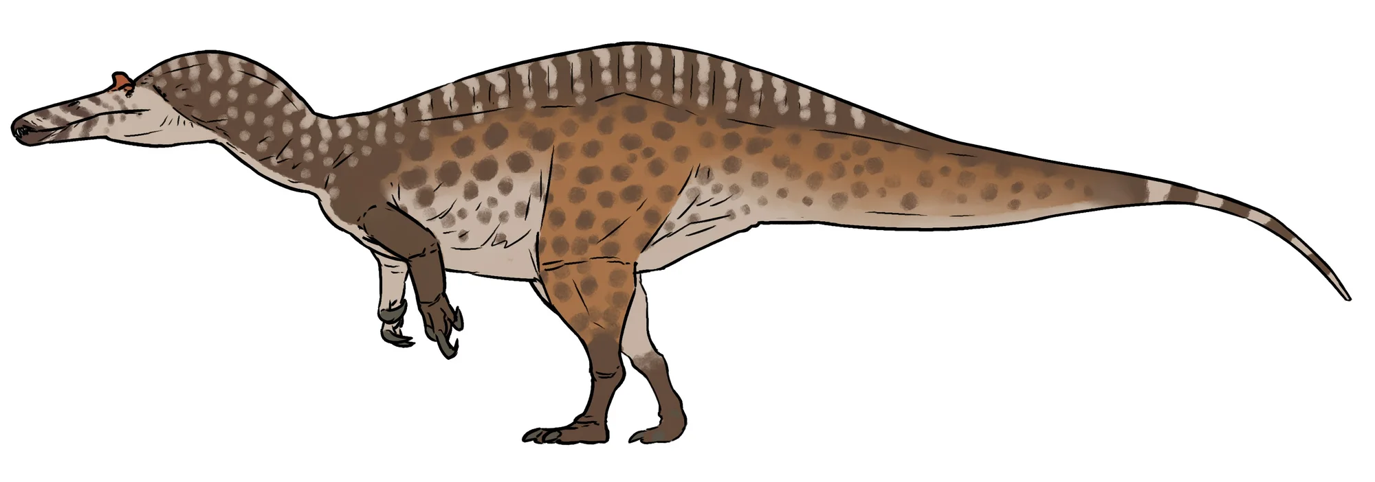 Suchomimus
