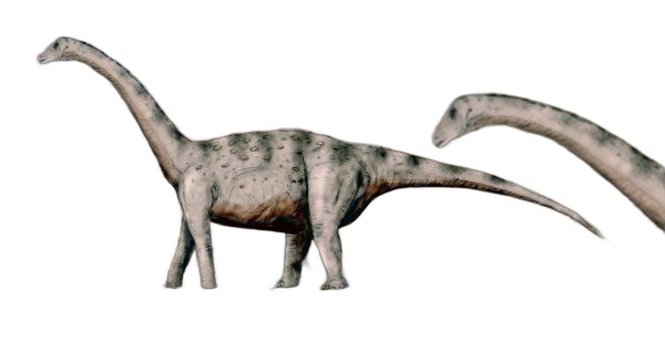 Tapuiasaurus