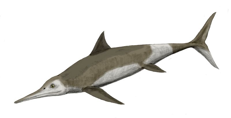 Temnodontosaurus