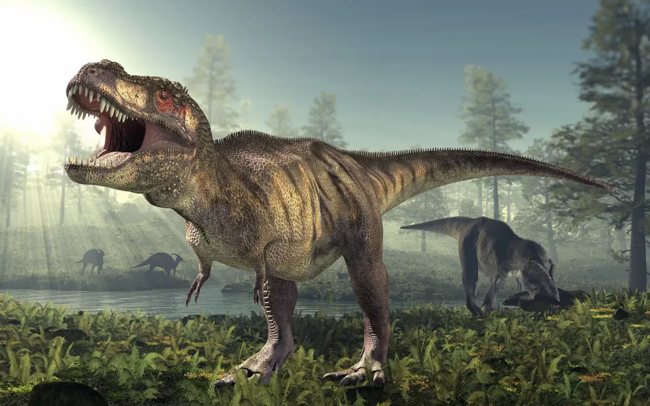 3D artistic reconstruction of Tyrannosaurus rex in a Late Cretáceous wet forest habitat, with dense vegetation and diffuse light.
