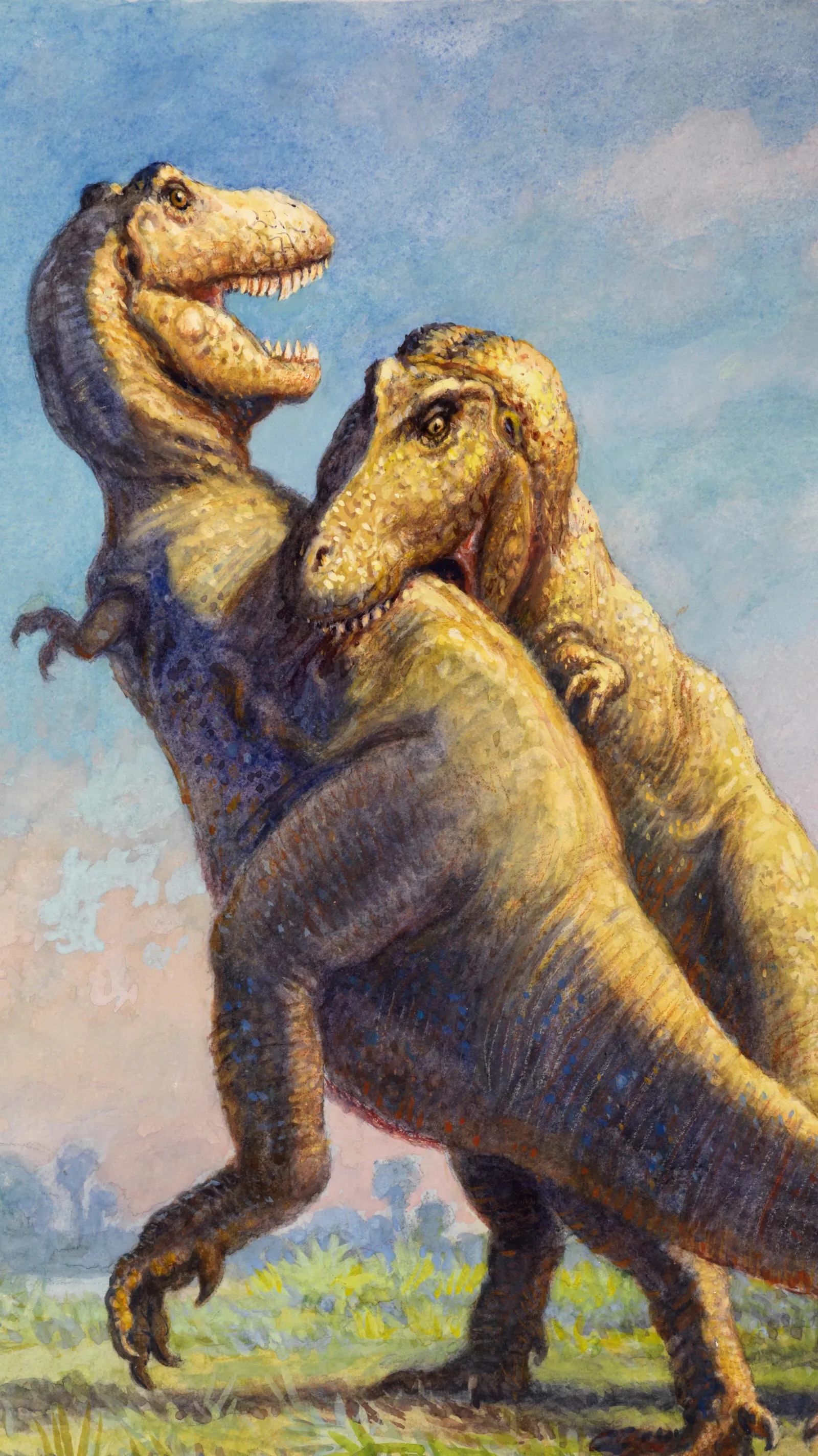 Painting of two Tyrannosaurus rex in social behavior — possibly courtship or territorial dispute. Fóssil evidence suggests social behavior in tyrannosaurids.