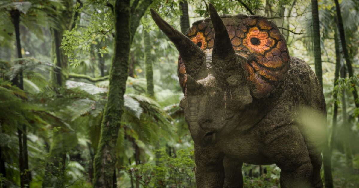 Artistic reconstruction of Triceratops — the bony frill was covered with vascularized skin, possibly with thermoregulatory and sexual display functions, changing color according to the animal's emotional state.