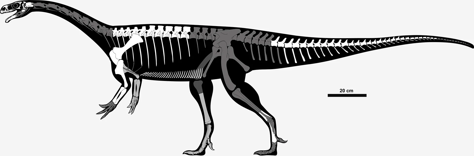 Unaysaurus