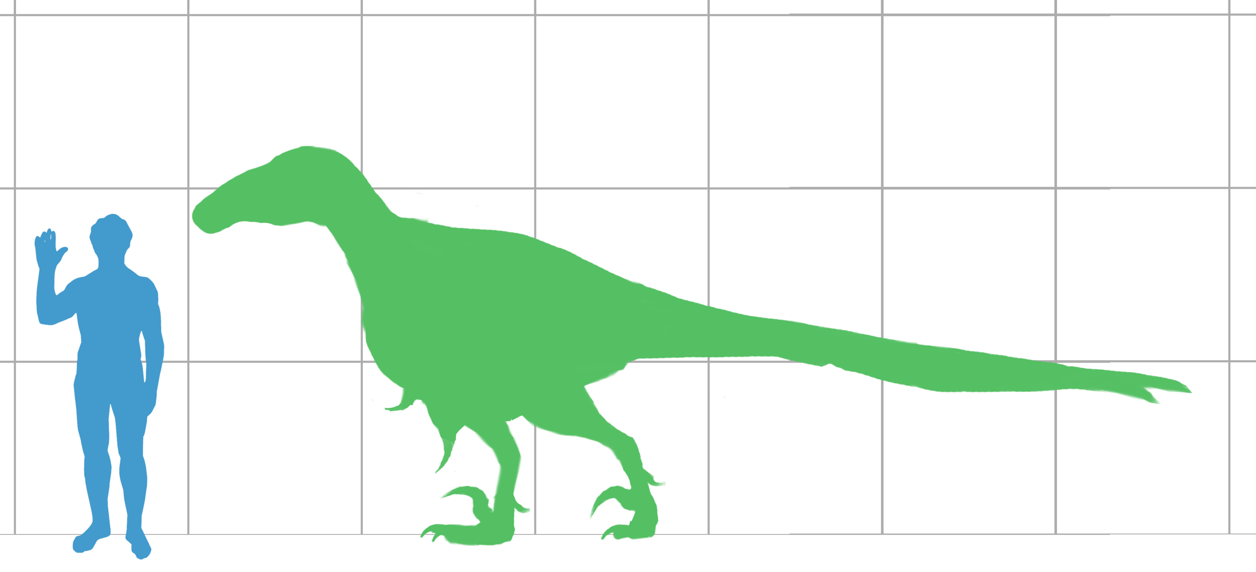 Comparative size diagram of Utahraptor ostrommaysorum — the holotype specimen (CEU VP-18,001) was collected from the Cedar Mountain Formation in 1991 by James Kirkland, Robert Gaston, and Donald Burge.