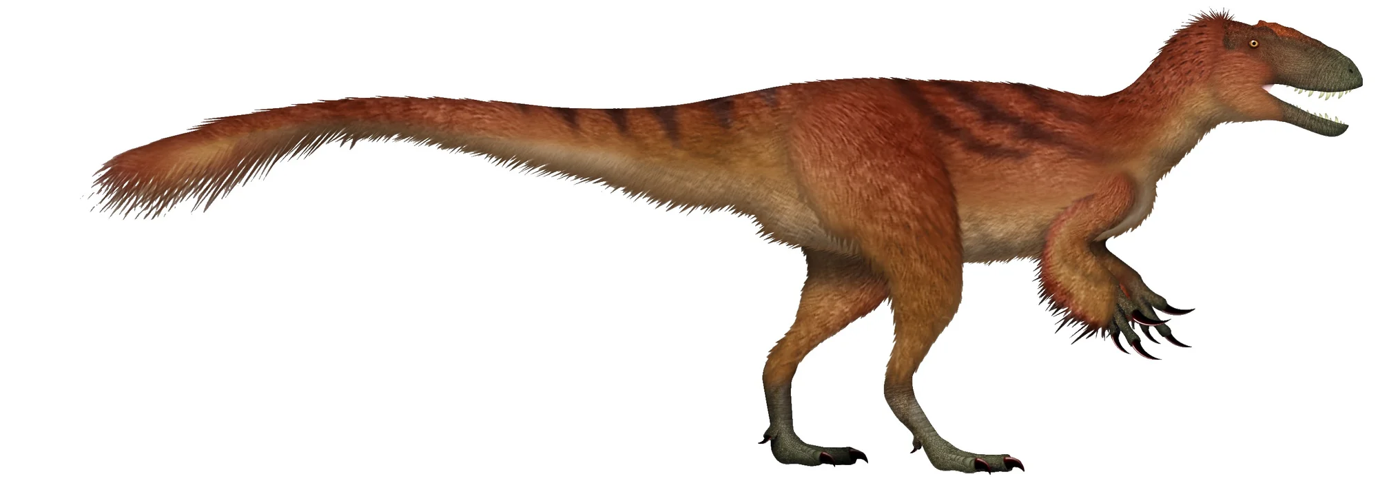 Yutyrannus
